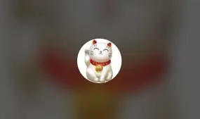 那我先睡了的头像-Vambase社区