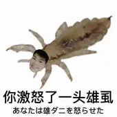 夜鱼不觉的头像-Vambase社区